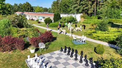 Ferienhaus für 4 Personen, mit Pool und Sauna sowie Garten und Whirlpool, kinderfreundlich in Canow