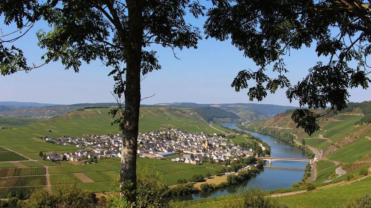 Vakantiehuis voor 6 personen met terras in Ferienpark Himmelberg, Thalfang