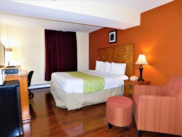 Hotel für 5 Personen, mit Terrasse und Ausblick, mit Haustier - 1