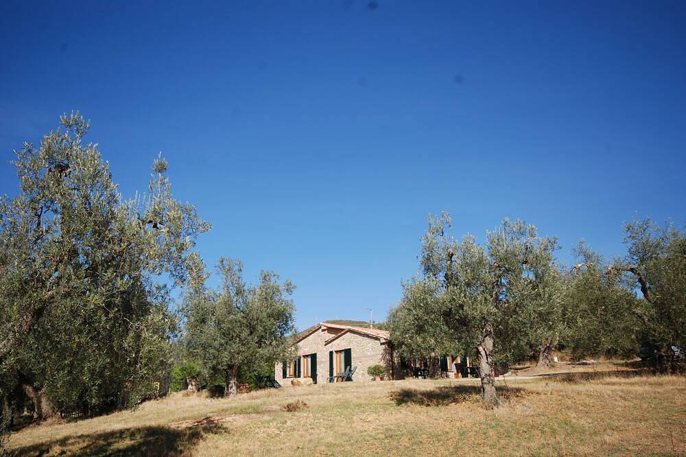 Gemütliche Villa umgeben von Olivenbäumen in Semproniano, Grosseto Provinz