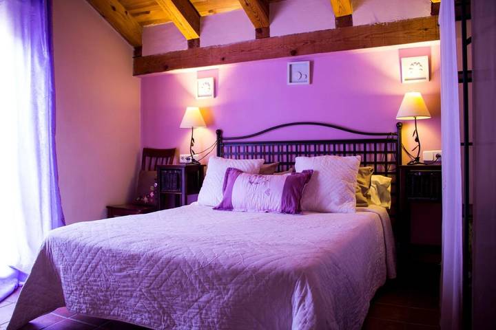 Casa rural para 21 personas, con vistas y jardín, Se admiten mascotas en Comarca de Segovia - 4