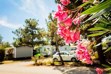 Camping pour 6 Personnes dans Torreilles, Région de Perpignan, Photo 3