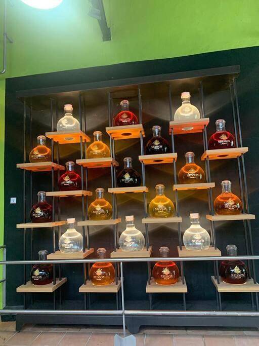 Gîte pour 2 personnes, avec terrasse et vue dans Marina du Marin - 4