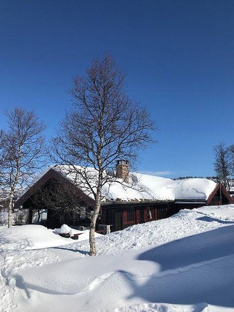 Authentische Hütte mit Blick auf Møsvann in Tinn