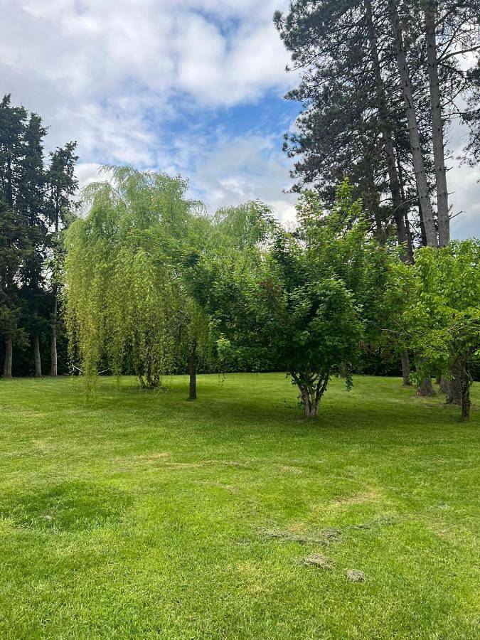 Location de vacances pour 10 personnes, avec jardin et vue, animaux acceptés à Loubejac - 3