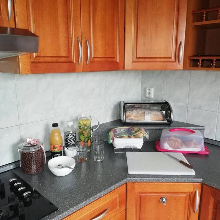 Maison d’hôte pour 2 personnes, avec jardin à Bratislava - 3