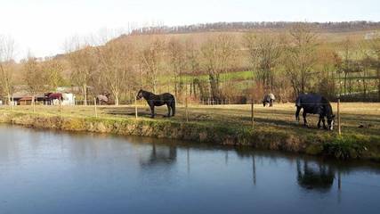 Ferienwohnung für 4 Personen in Obersulm, Naturpark Schwäbisch-Fränkischen Wald, Bild 4
