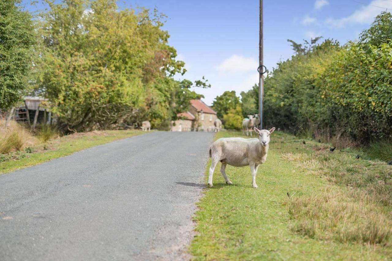 Holiday Home in Goathland, North York Moors National Park