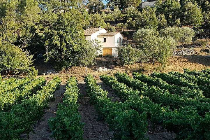 La Bastide du Jas Blanc - Villa de charme /piscine chauffée à débordement 🌅 in Callas, Région de Draguignan