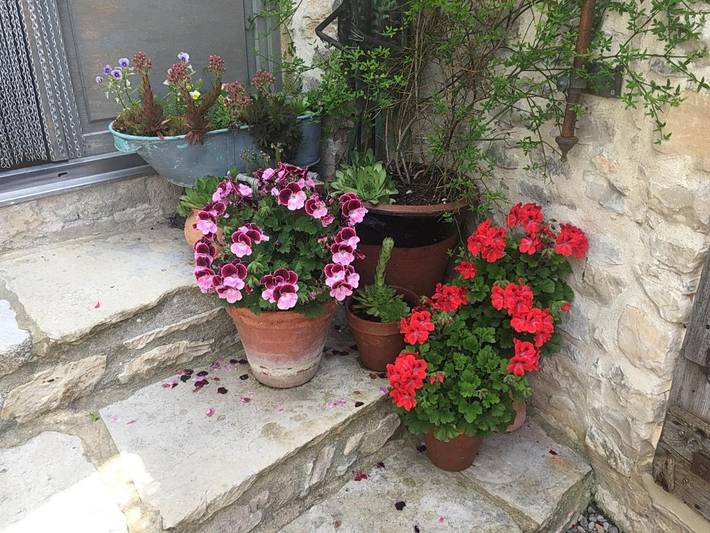 Location de vacances pour 2 personnes, avec vue et jardin, animaux acceptés à Lardiers - 4