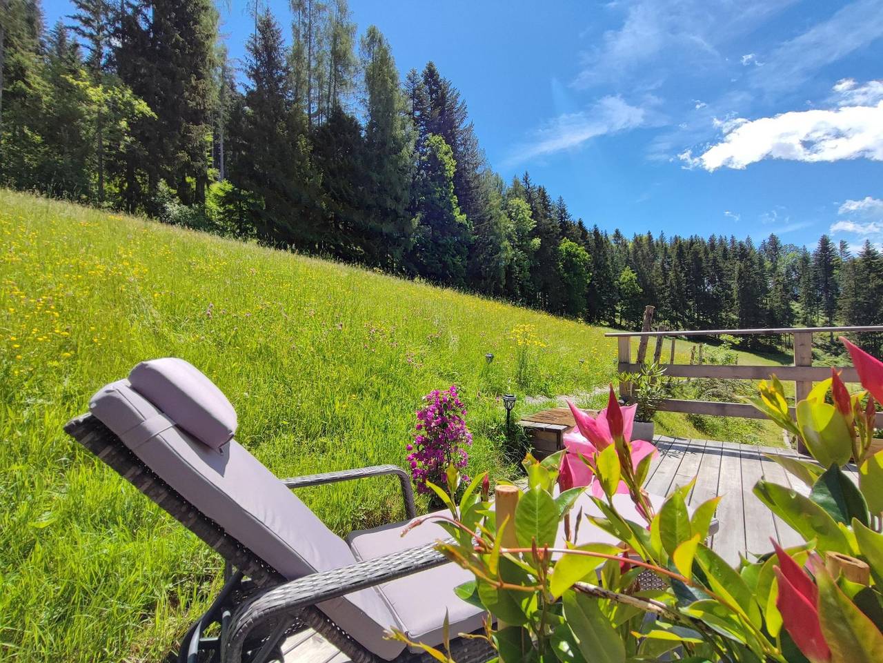 Ganze Ferienwohnung, Villa Bischofsberg - Lärchen-Wellness Apartment - Lärchen-Wellness-Appartement in Edlbach, Kirchdorf an der Krems (Bezirk)