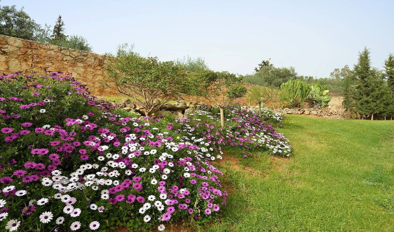 Melitini in Chania region