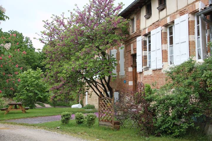 Appartement de vacances pour 5 personnes, avec terrasse et jardin - 1