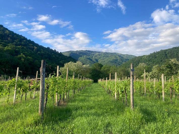 Gîte pour 2 personnes, avec terrasse ainsi que vue et jardin à Faedis - 4