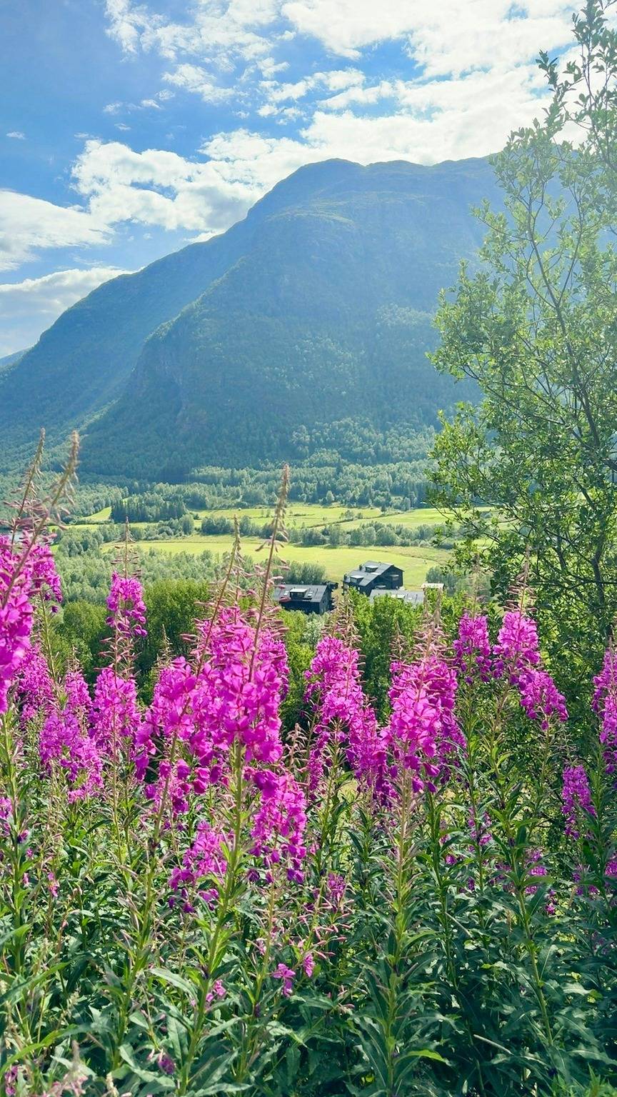 Ganze Wohnung, Wohnung am Skigebiet Solheisen in Hemsedal in Hemsedal