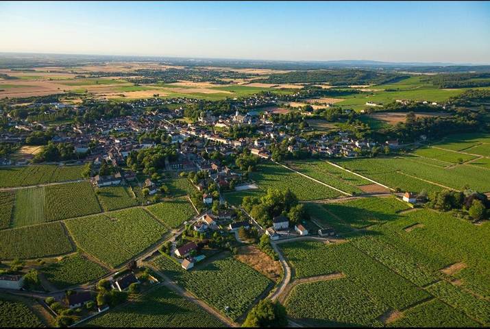 Location de vacances pour 12 personnes, avec piscine et jardin à Rully - 3
