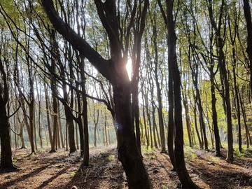 Ferienhaus für 6 Personen in Blokhus, Dänemark an der Nordsee, Bild 4