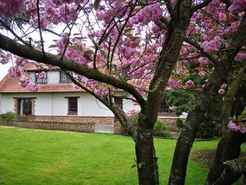 Gîte pour 8 personnes, avec jardin et jacuzzi à Gouchaupre