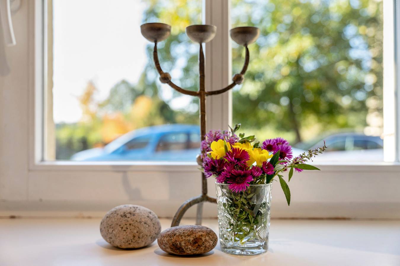 Appartement entier, Appartement "Fewo In Der Alten Weinpresse" avec jardin privé et Wi-Fi in Loschwitz, Dresde