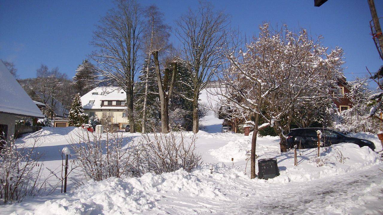 Ganze Ferienwohnung, Ferienwohnung für 4 Personen (60 m²) in Innerlehen in Bernau im Schwarzwald, Südschwarzwald