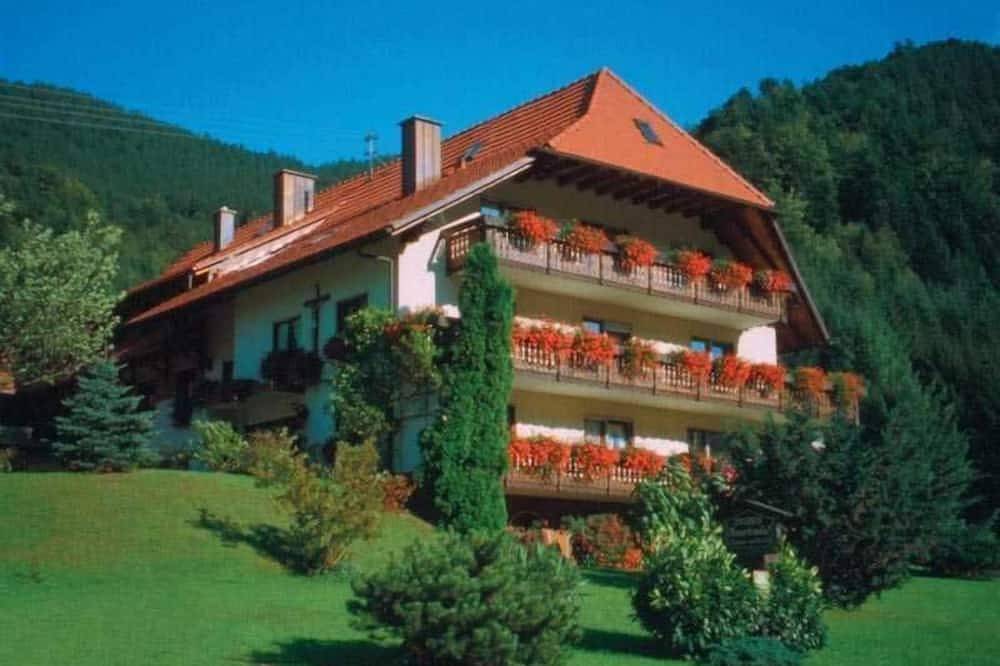 Ganze Wohnung, Ferienwohnung Talblick - Mosertonihof in Elzach, Mittlerer Schwarzwald