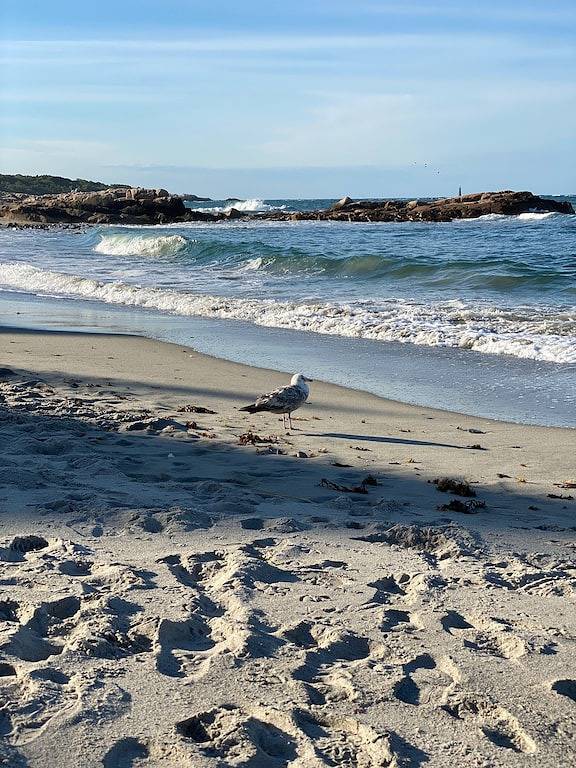 Luxury Minot Oceanfront • Dog Friendly • Hot Tub • 5Br • Families & Groups in Scituate, Massachusetts