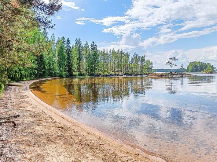 Metsätähti in Konnevesi, Mittelfinnland