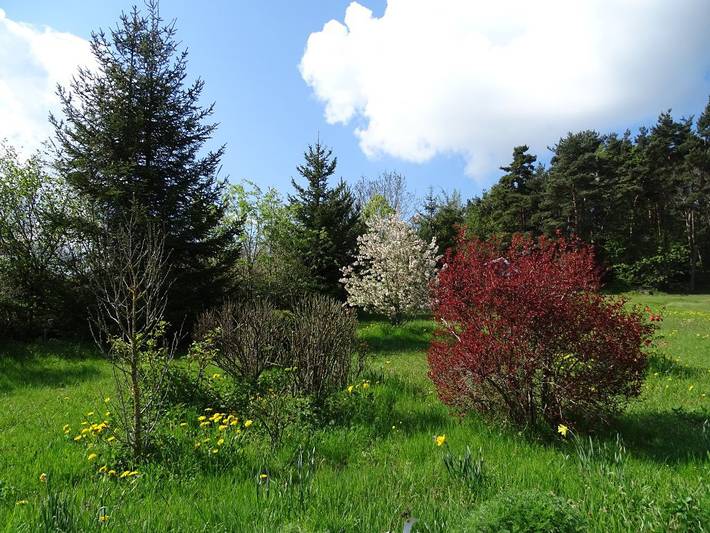 Chambre d’hôte pour 2 personnes en Haute-Loire - 3