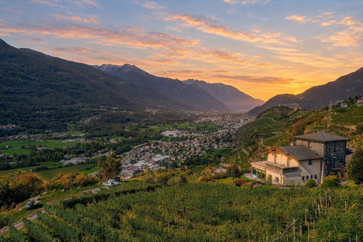Appartamento intero, Tra Vigne e Vette · 2 camere, vista sui vigneti in Poggiridenti Alto, Poggiridenti