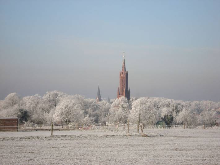 Ferienwohnung für 3 Personen, mit Garten und Sauna sowie Seeblick und Terrasse am Fleesensee - 4