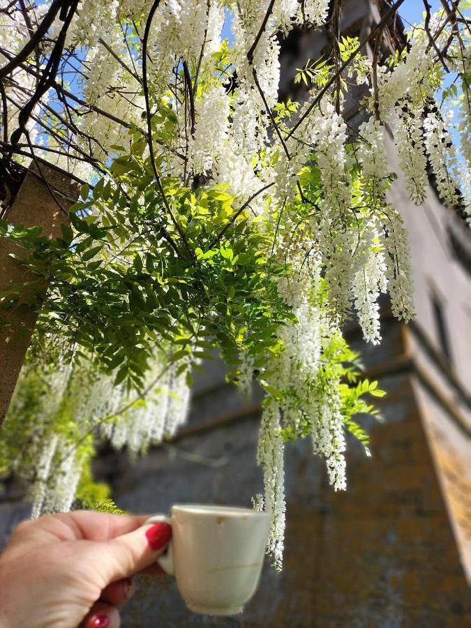 Gîte pour 3 personnes, avec vue et balcon à Vignanello - 3
