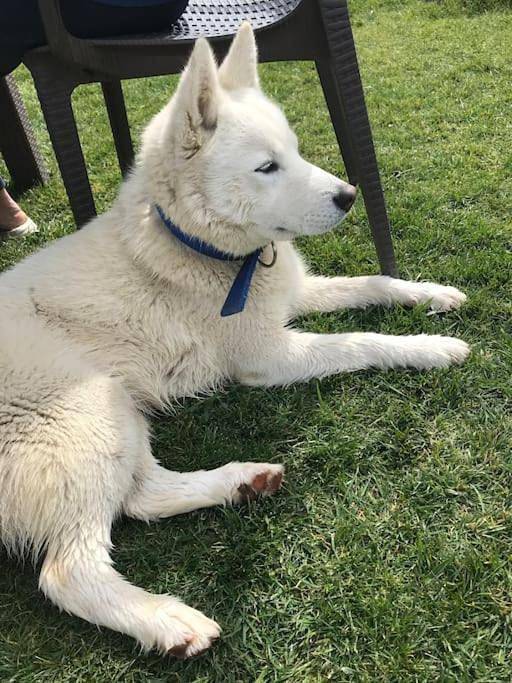 Villa für 10 Personen, mit Pool und Garten sowie Terrasse und Whirlpool in der Türkei - 3