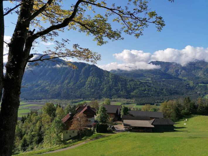 Ganze Wohnung, Reißkofel in Steinfeld in Kreuzeckgruppe, Steinfeld im Drautal