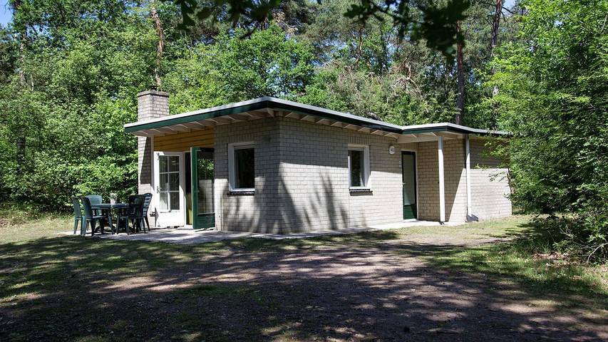 Vakantiehuis voor 6 personen, met zwembad en tuin in Dwingeloo