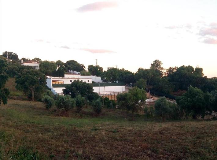 Alojamiento y desayuno para 2 personas, con terraza además de jardín y piscina, Se admiten mascotas en Lisboa y alrededores - 4