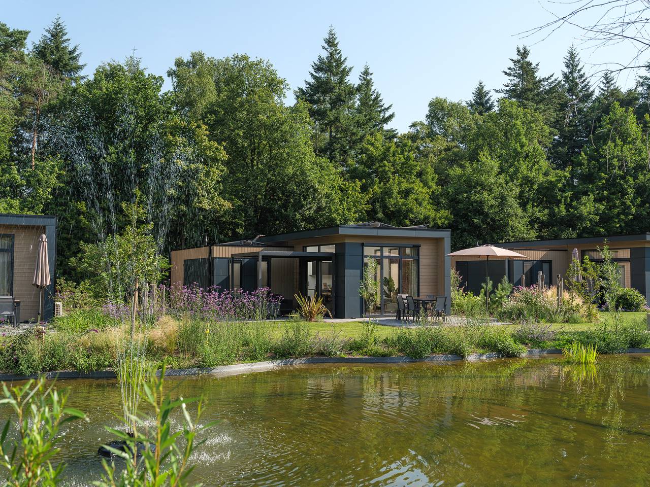 Veluwepark de Bosgraaf — Essenburgh Komfort | 6 personen  in Veluwe