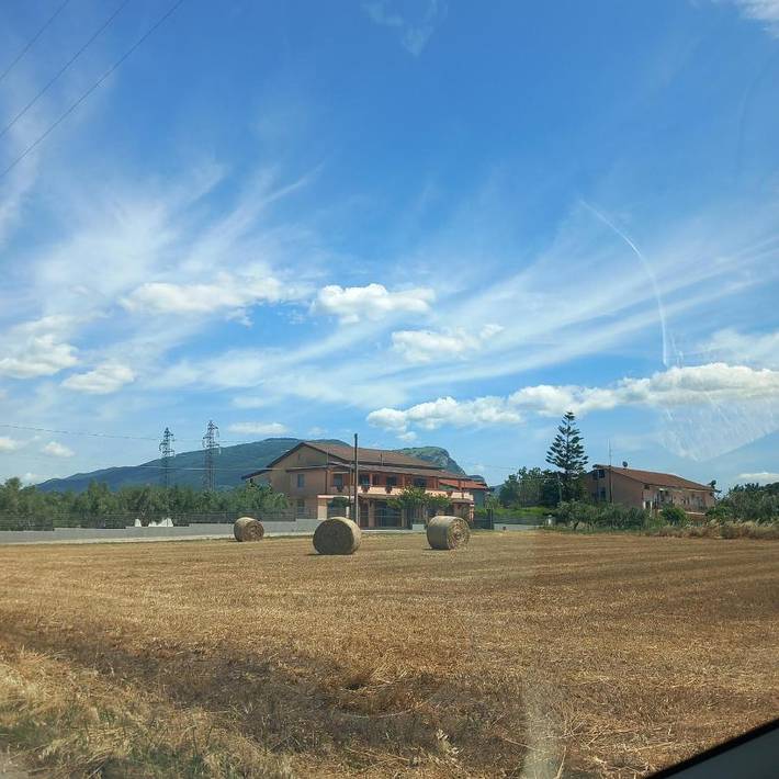 Gîte pour 7 personnes, avec terrasse, animaux acceptés dans Capaccio Paestum - 4