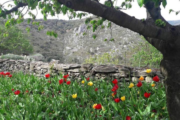 Gîte pour 5 personnes, avec jardin à Limousis