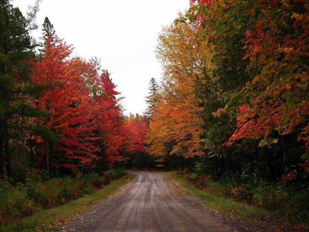 Wir sind ein abgelegenes, ruhiges Bed And Breakfast in der oberen Halbinsel! in Gogebic County