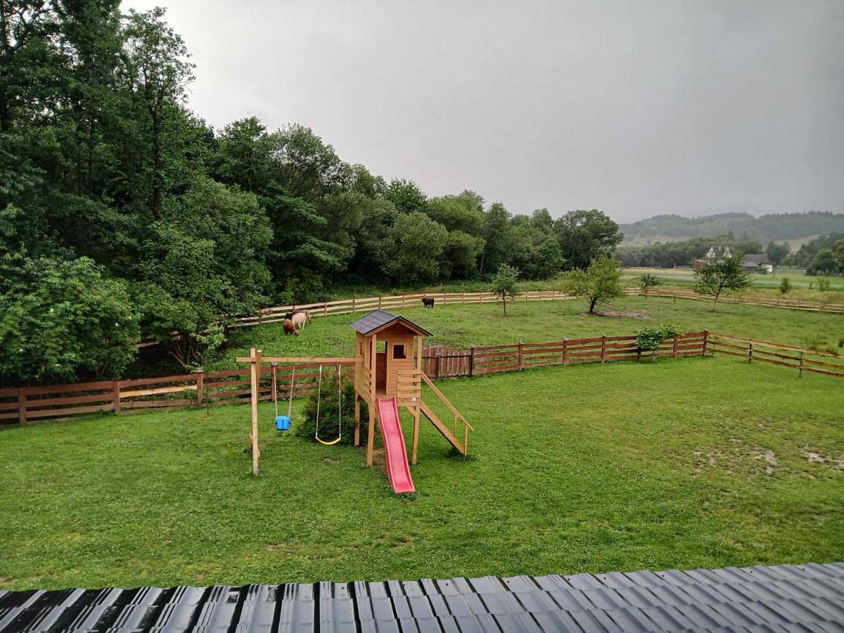 Dom Pod Wierzbami in Karpaty (Polska)
