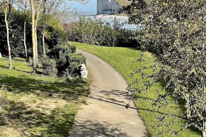 Maison de famille : vue mer, plage à 50m in Veulettes-sur-Mer, Région de Dieppe