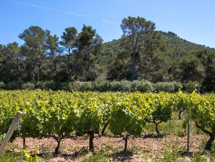 Location de vacances pour 4 personnes à Le Pradet - 4