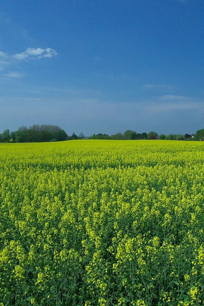 Ferienwohnung für 3 Personen in Windeby - 2