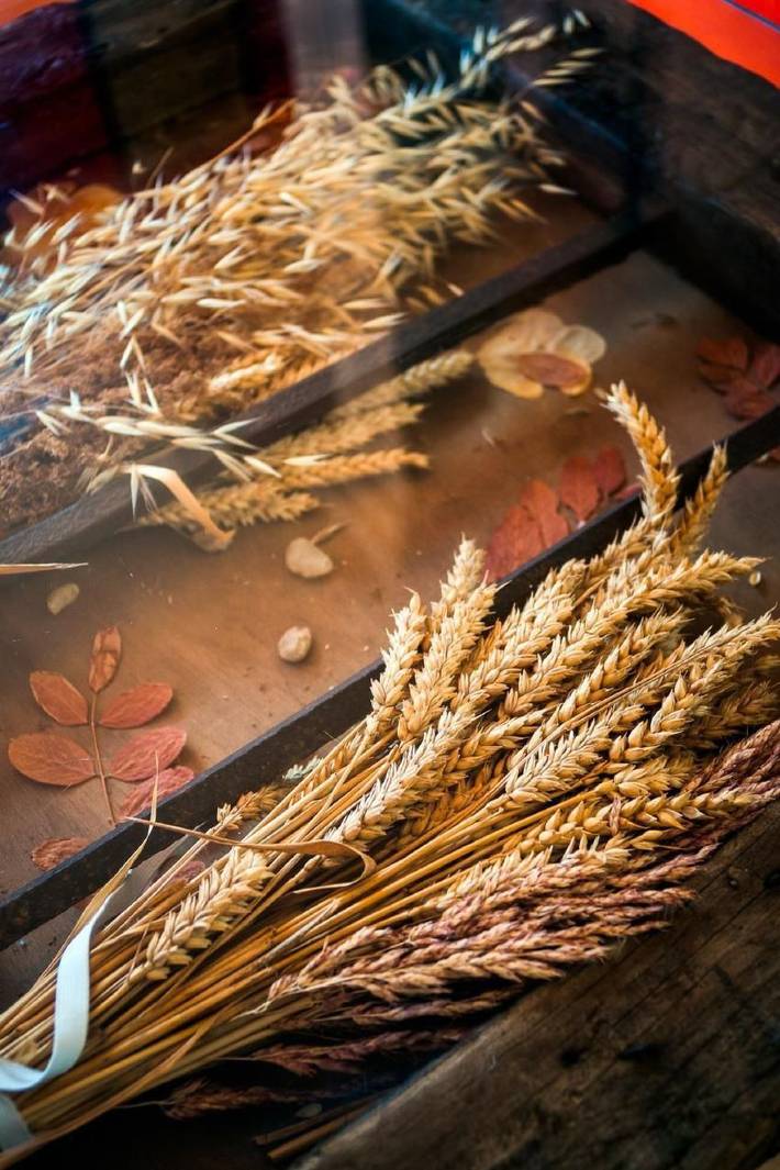 Casa rural para 2 personas, con jardín en Montaña de Luna - 3