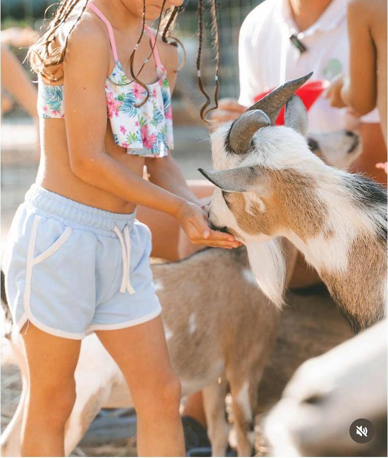 Isola Verde Camping Village in Nettuno, Provincia di Roma