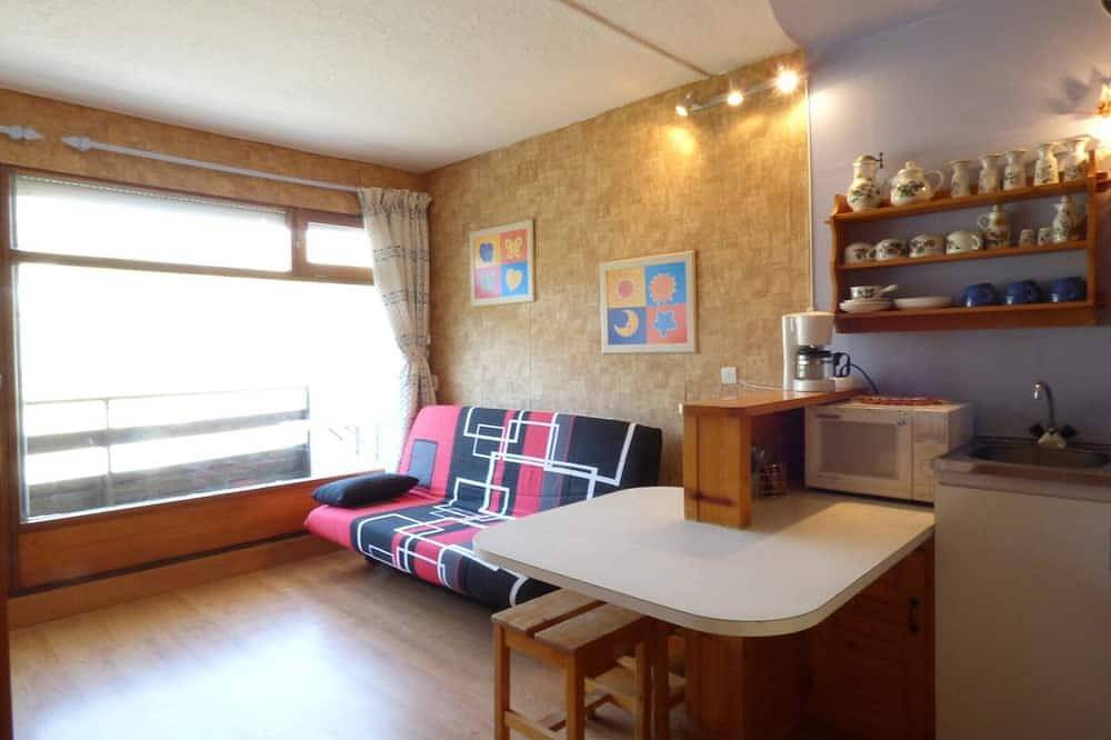 Appartement entier, Studio confortable pour 4 pers, accès direct galerie et pistes, ascenseur in La Pierre Saint-Martin, Arette