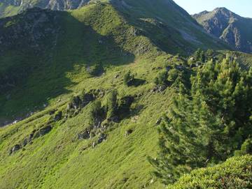 Ferienwohnung für 4 Personen in Alpbach, Ski Juwel Alpbachtal Wildschönau, Bild 2