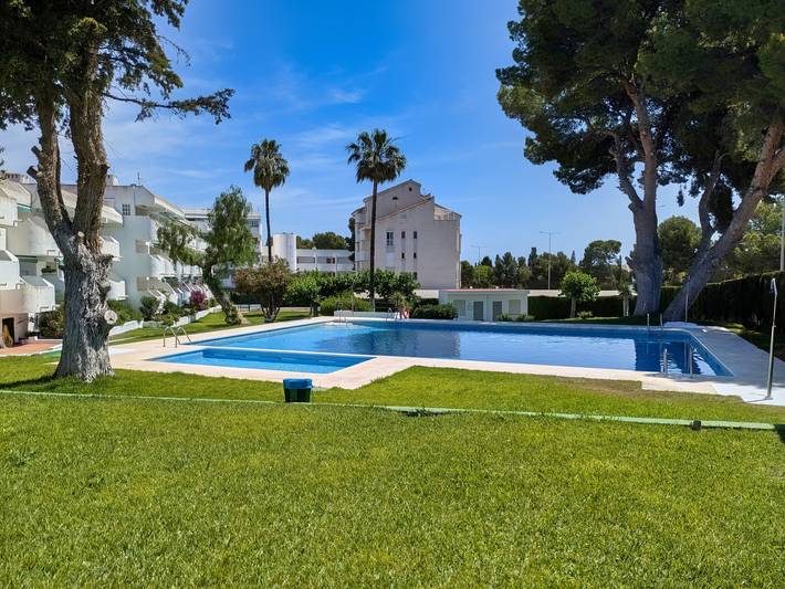 Gîte pour 4 personnes, avec terrasse et bassin pour enfant dans Costa del Azahar - 2