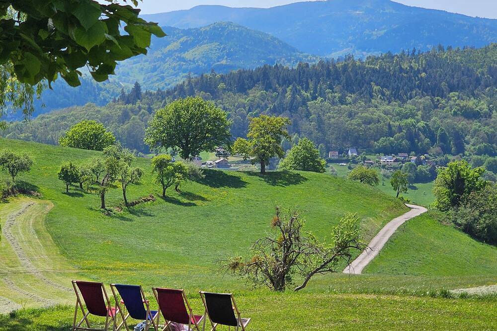 Ganze Wohnung, Domaine Le H - A Destination at the Peak of Your Dreams in Hohrod, Regionaler Naturpark Belchen der Vogesen