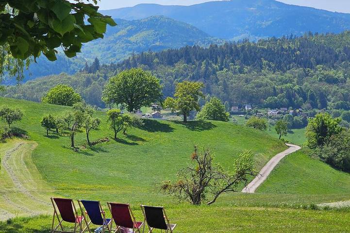 Ganze Wohnung, Domaine Le H - A Destination at the Peak of Your Dreams in Hohrod, Regionaler Naturpark Belchen der Vogesen